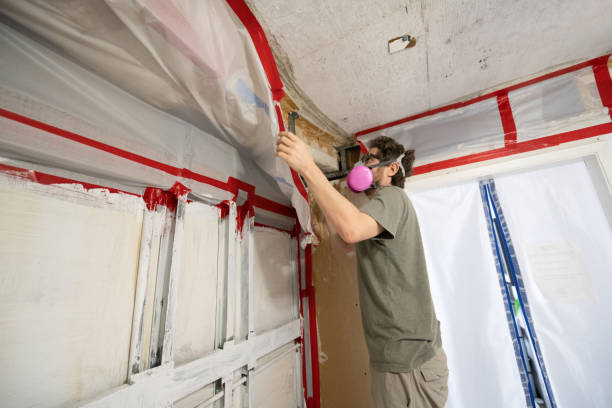 Mold Documentation for Insurance Claims in South Sarasota, FL
