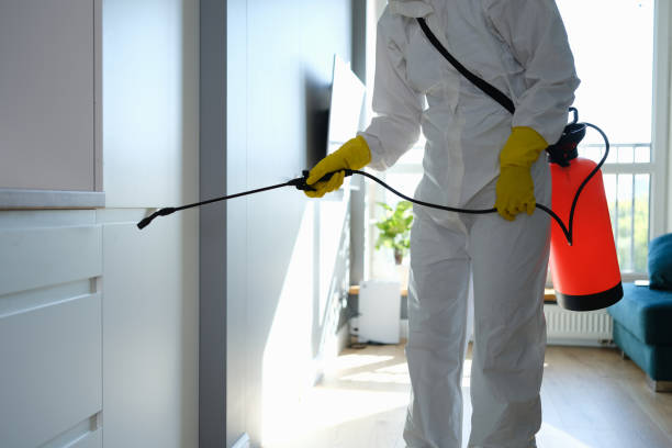 Best Airborne Mold Testing  in South Sarasota, FL