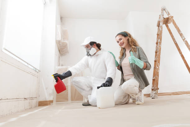 Best Post-Construction Mold Inspection  in South Sarasota, FL
