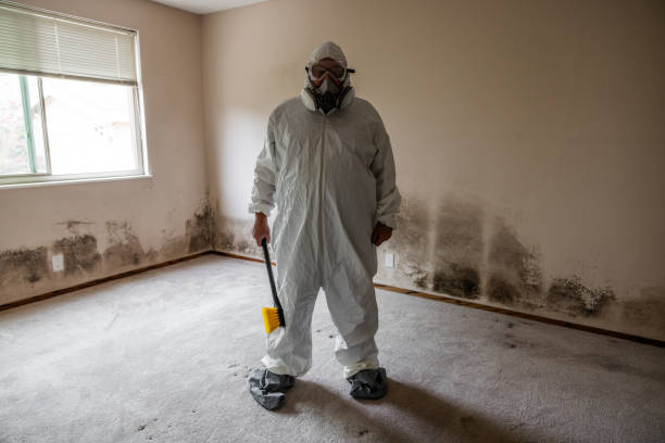 Best Mold Removal for HVAC Installations  in South Sarasota, FL